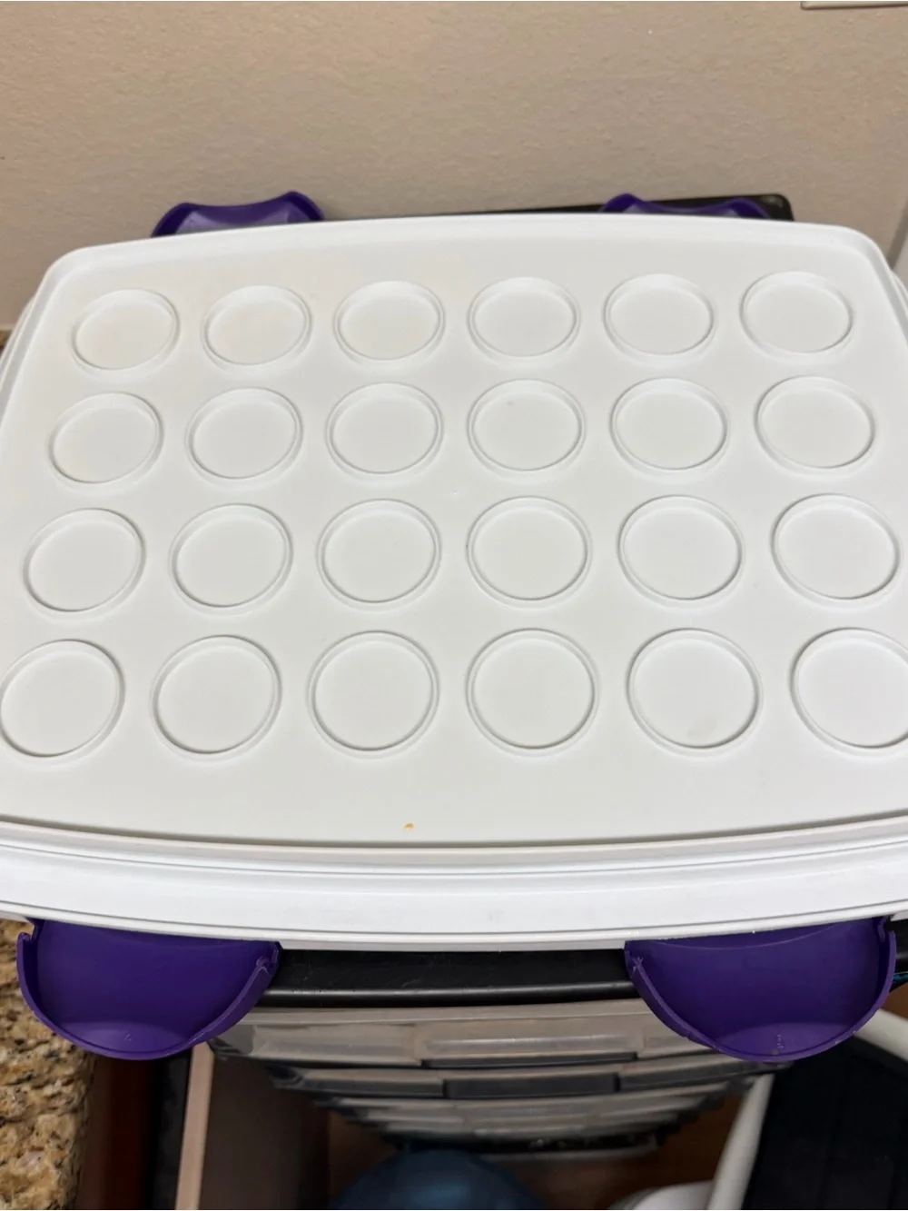 Wilton Cupcake Cake Carrier